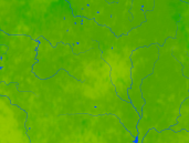 Weißrussland Vegetation 1200x900